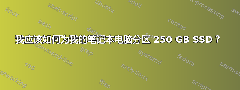 我应该如何为我的笔记本电脑分区 250 GB SSD？