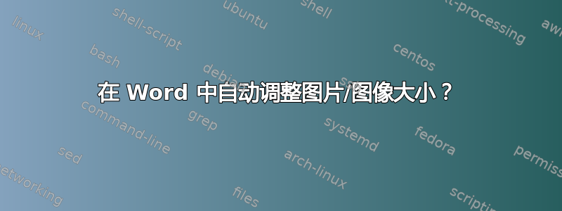 在 Word 中自动调整图片/图像大小？