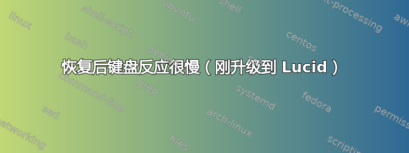 恢复后键盘反应很慢（刚升级到 Lucid）