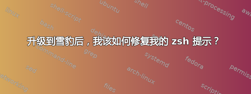 升级到雪豹后，我该如何修复我的 zsh 提示？