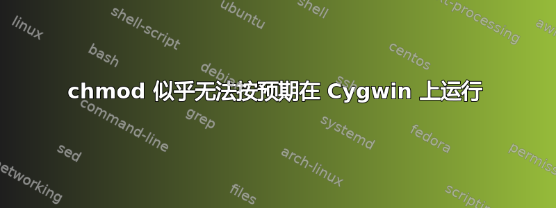 chmod 似乎无法按预期在 Cygwin 上运行