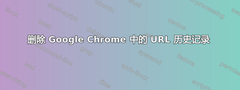 删除 Google Chrome 中的 URL 历史记录