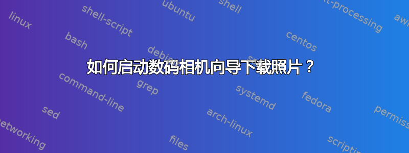 如何启动数码相机向导下载照片？