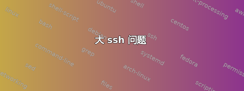 大 ssh 问题