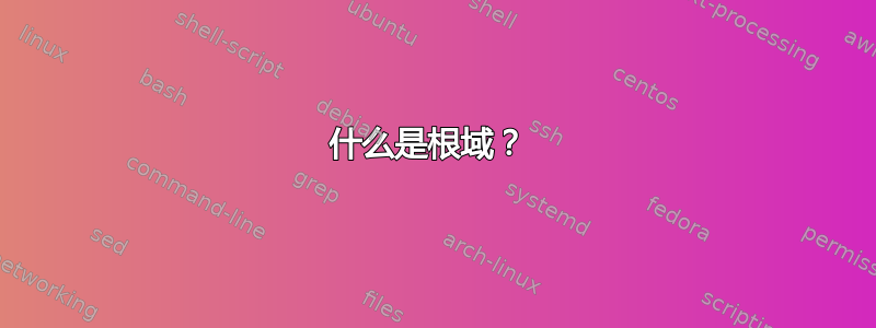 什么是根域？ 