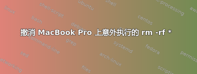 撤消 MacBook Pro 上意外执行的 rm -rf * 