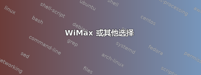 WiMax 或其他选择