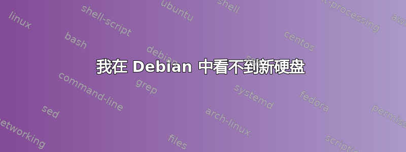 我在 Debian 中看不到新硬盘