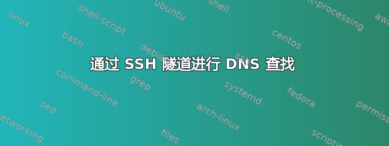 通过 SSH 隧道进行 DNS 查找