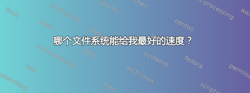 哪个文件系统能给我最好的速度？