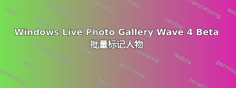 Windows Live Photo Gallery Wave 4 Beta 批量标记人物