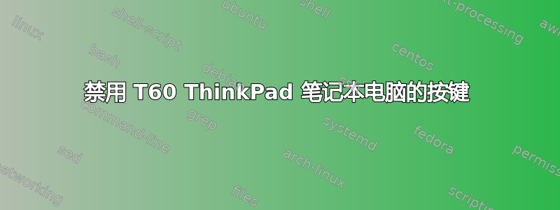 禁用 T60 ThinkPad 笔记本电脑的按键