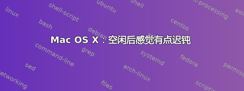 Mac OS X：空闲后感觉有点迟钝