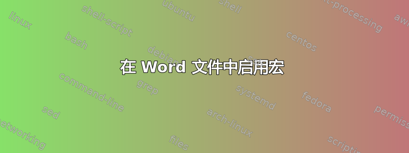 在 Word 文件中启用宏