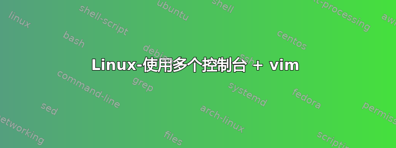 Linux-使用多个控制台 + vim