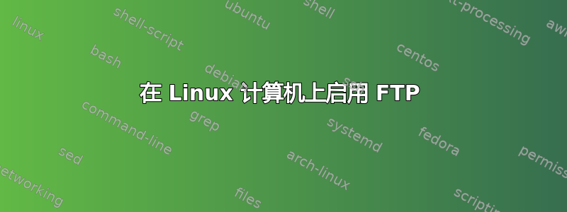 在 Linux 计算机上启用 FTP