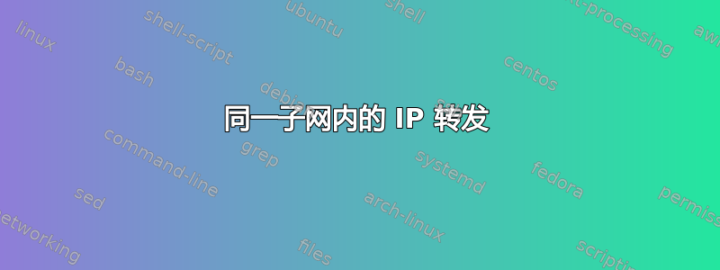 同一子网内的 IP 转发