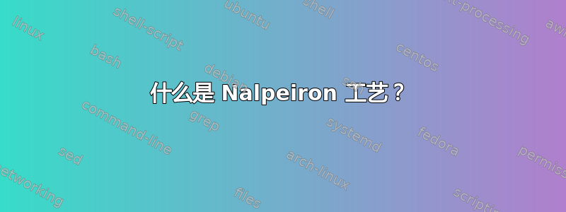 什么是 Nalpeiron 工艺？