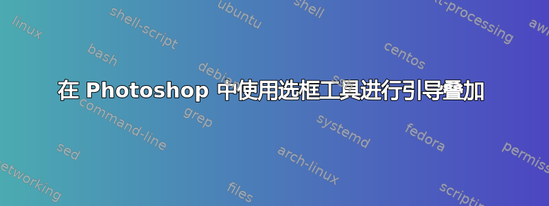 在 Photoshop 中使用选框工具进行引导叠加