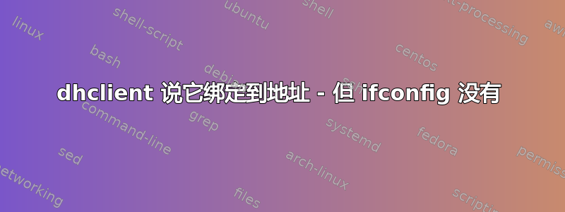 dhclient 说它绑定到地址 - 但 ifconfig 没有