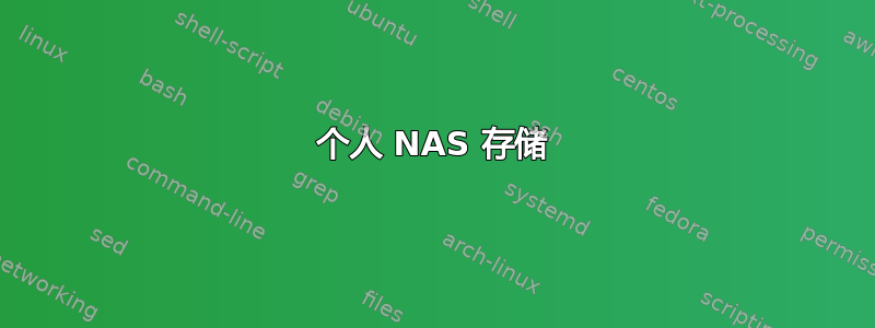 个人 NAS 存储