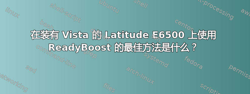 在装有 Vista 的 Latitude E6500 上使用 ReadyBoost 的最佳方法是什么？