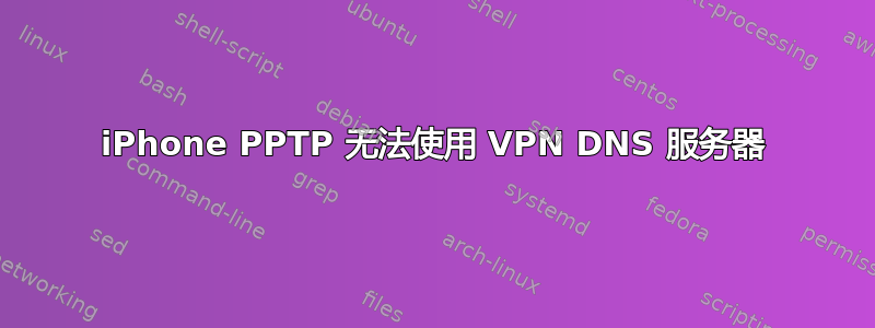 iPhone PPTP 无法使用 VPN DNS 服务器