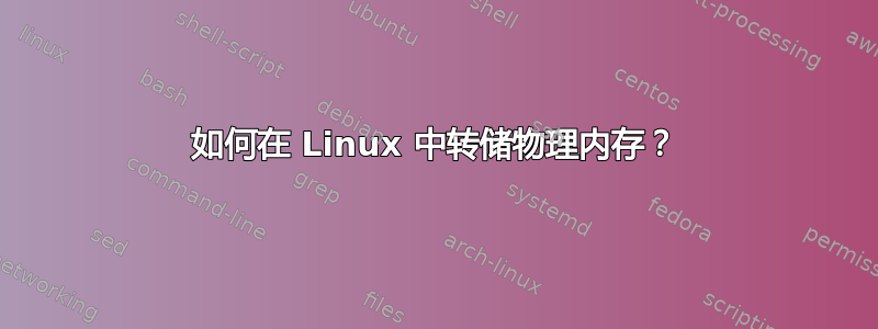 如何在 Linux 中转储物理内存？