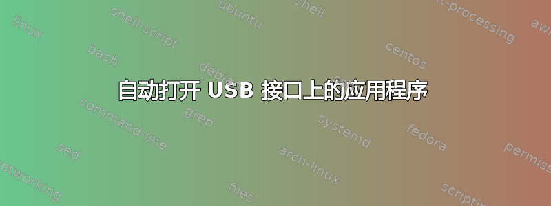 自动打开 USB 接口上的应用程序