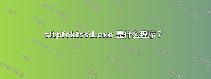 sltpfektssd.exe 是什么程序？