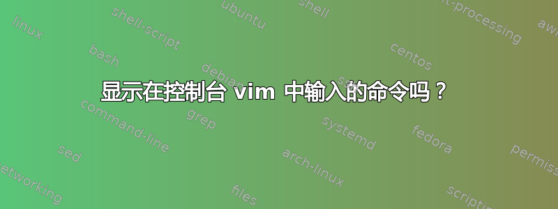 显示在控制台 vim 中输入的命令吗？