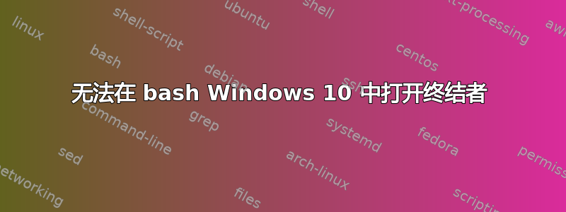 无法在 bash Windows 10 中打开终结者