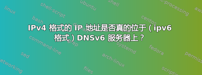 IPv4 格式的 IP 地址是否真的位于（ipv6 格式）DNSv6 服务器上？