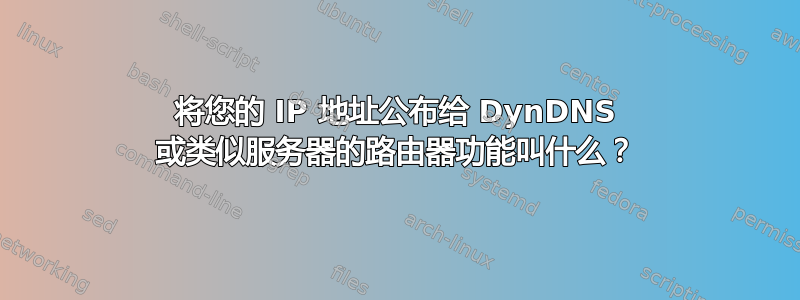 将您的 IP 地址公布给 DynDNS 或类似服务器的路由器功能叫什么？