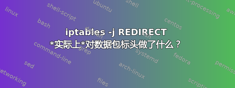 iptables -j REDIRECT *实际上*对数据包标头做了什么？