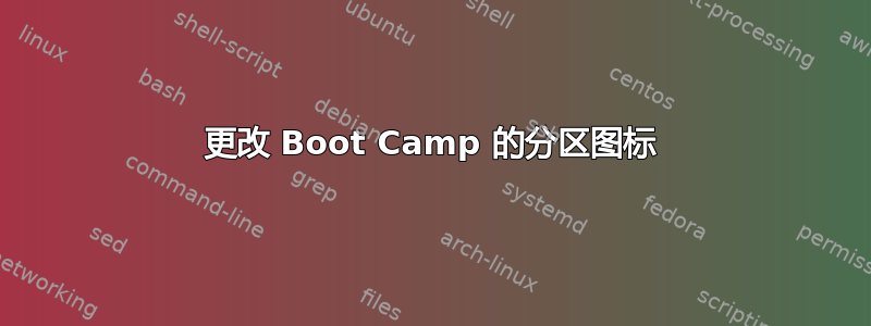 更改 Boot Camp 的分区图标