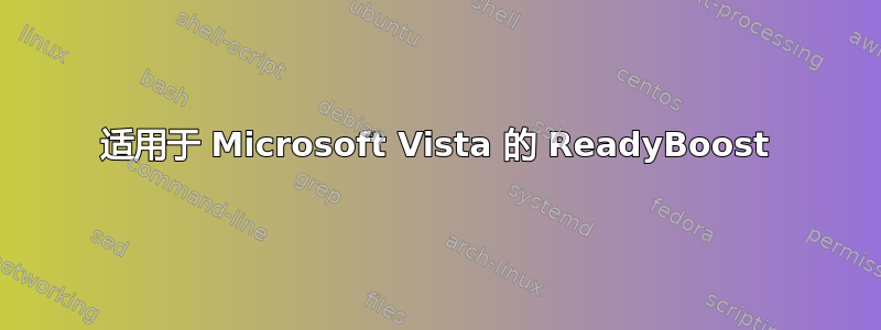 适用于 Microsoft Vista 的 ReadyBoost