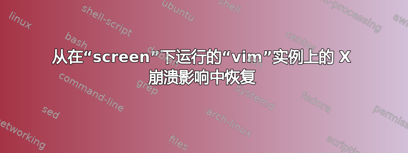 从在“screen”下运行的“vim”实例上的 X 崩溃影响中恢复