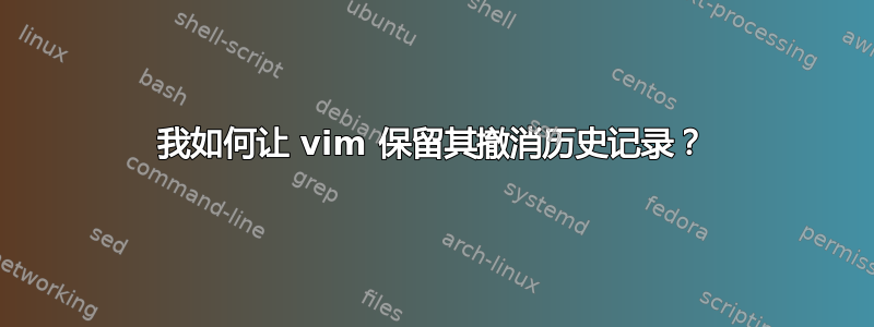 我如何让 vim 保留其撤消历史记录？