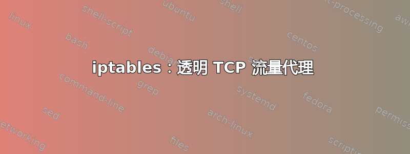 iptables：透明 TCP 流量代理