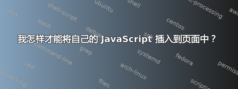 我怎样才能将自己的 JavaScript 插入到页面中？