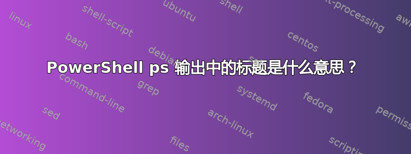 PowerShell ps 输出中的标题是什么意思？