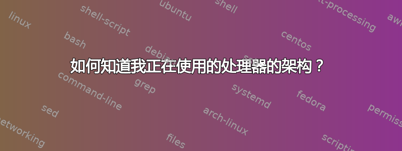 如何知道我正在使用的处理器的架构？