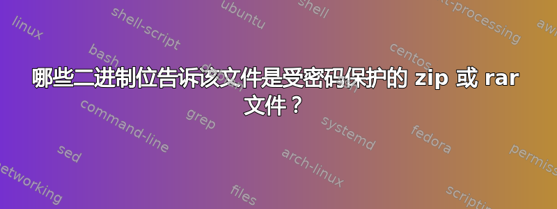 哪些二进制位告诉该文件是受密码保护的 zip 或 rar 文件？