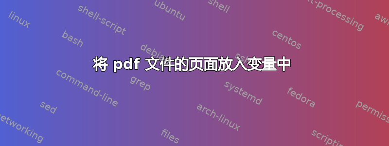 将 pdf 文件的页面放入变量中