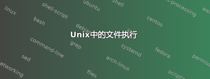 Unix中的文件执行