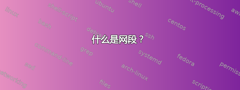 什么是网段？