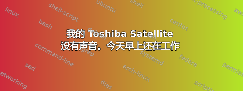 我的 Toshiba Satellite 没有声音。今天早上还在工作