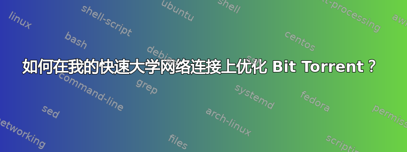 如何在我的快速大学网络连接上优化 Bit Torrent？