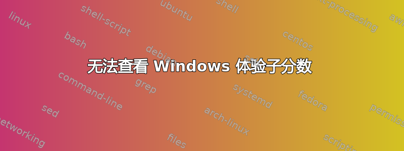 无法查看 Windows 体验子分数